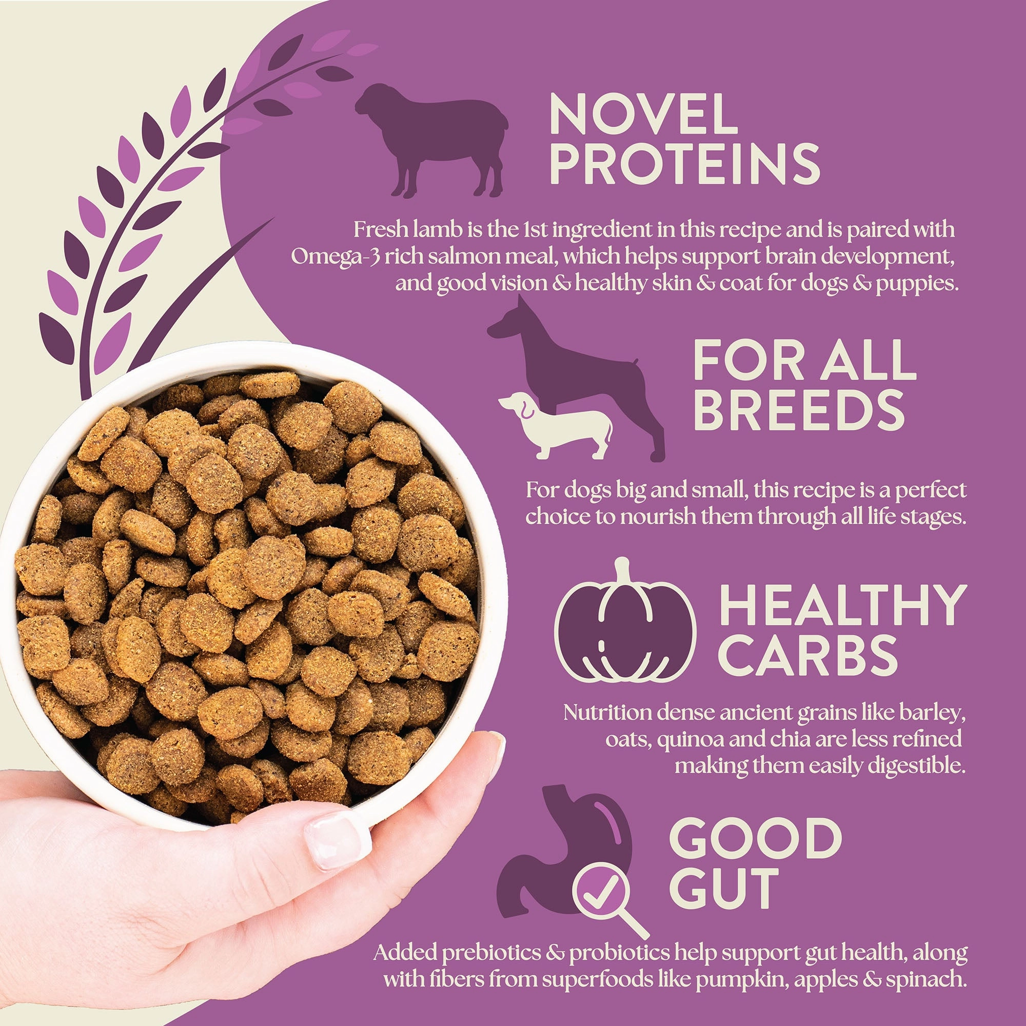 Earthborn Holistic Unrefined Roasted Lamb with Ancient Grains & Superfoods Dry Dog Food 25 lb