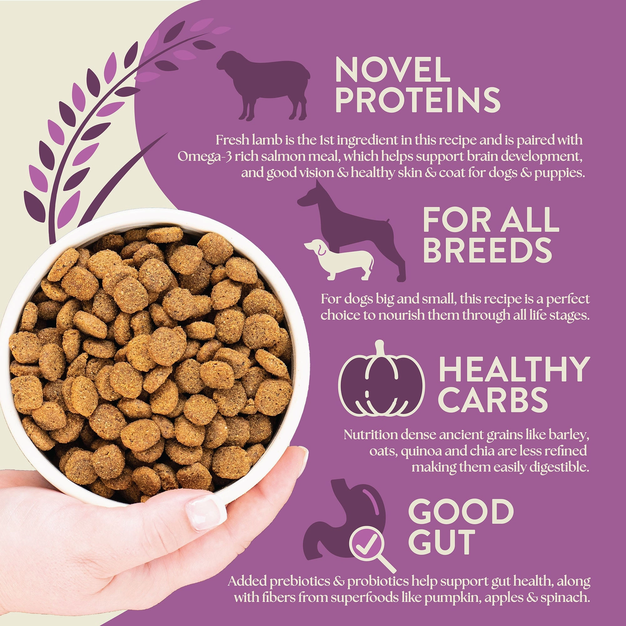 Earthborn Holistic Unrefined Roasted Lamb with Ancient Grains & Superfoods Dry Dog Food 4 lb