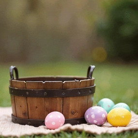 Easter Party Treats Combo for Dogs