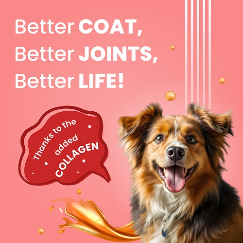 Easter Party Treats Combo for Dogs