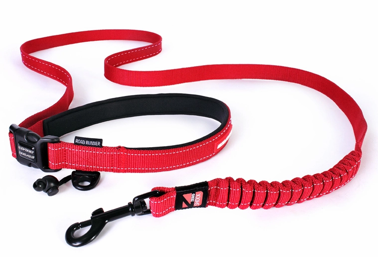 EzyDog Road Runner Leash