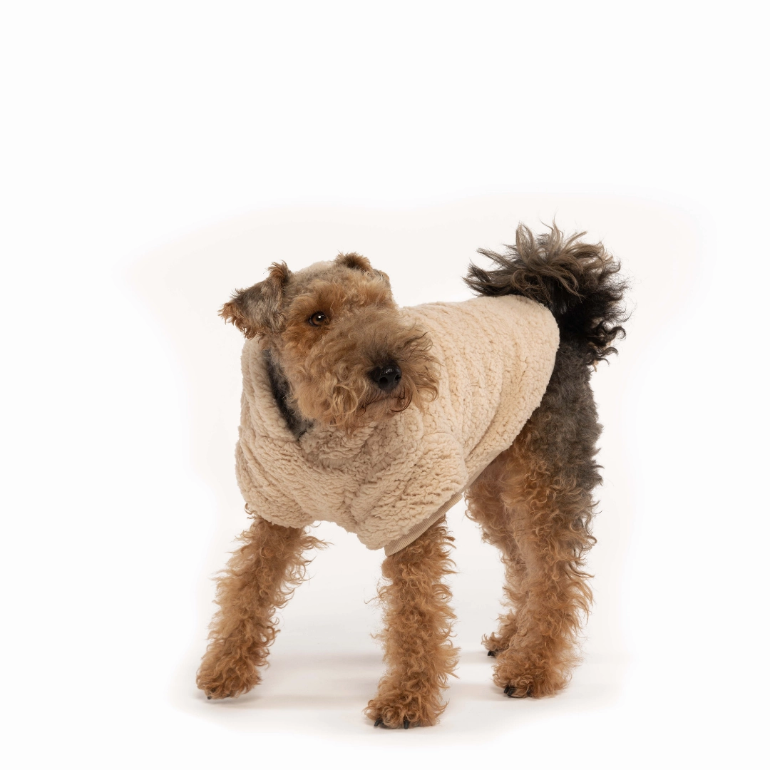 Fabdog Sherpa Hoodie
