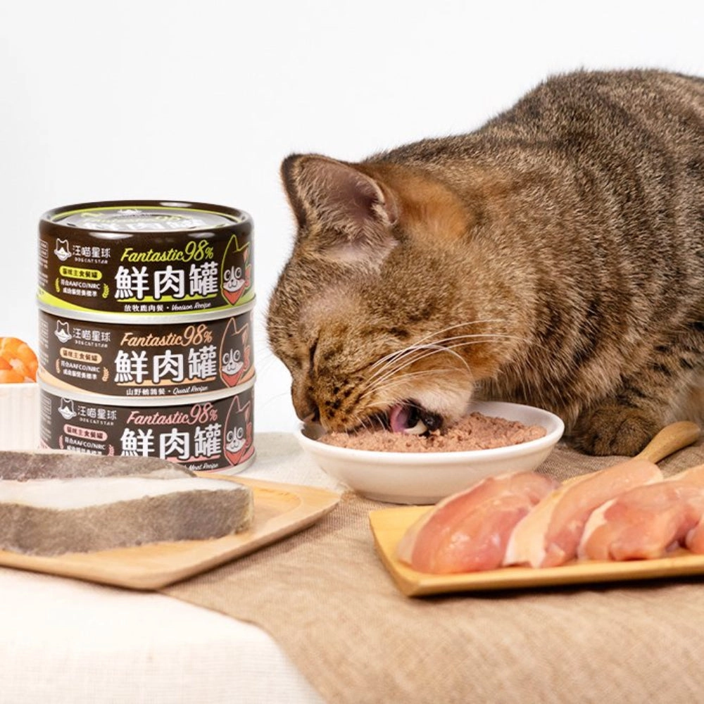 Fantastic 98% - Country Turkey Complete Balanced Cat Can