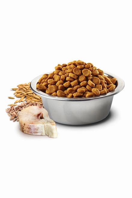Farmina N&D Ocean Cod, Spelt, Oats, and Orange Med/Maxi Dry Dog Food