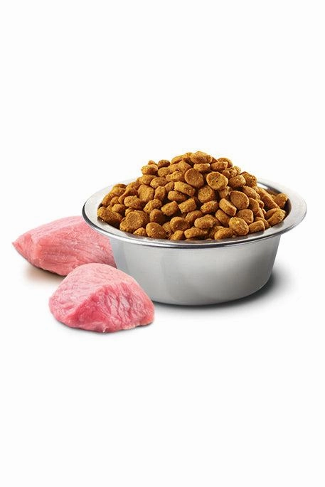 Farmina N&D Pumpkin Boar and Apple Mini Dry Dog Food
