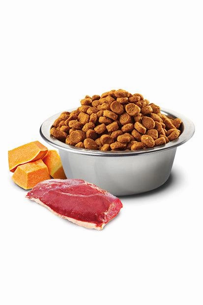 Farmina N&D Pumpkin Duck and Cantaloupe Med/Maxi Dry Dog Food