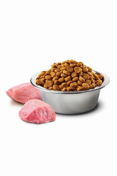 Farmina N&D Pumpkin Lamb and Blueberry Med/Maxi Dry Dog Food