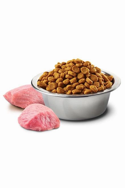 Farmina N&D Pumpkin Lamb and Blueberry Mini Dry Dog Food