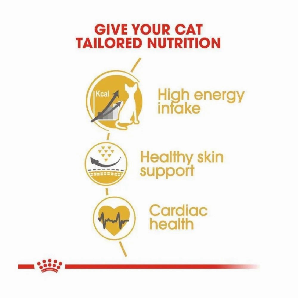 FBN Sphynx Adult Cat Dry Food