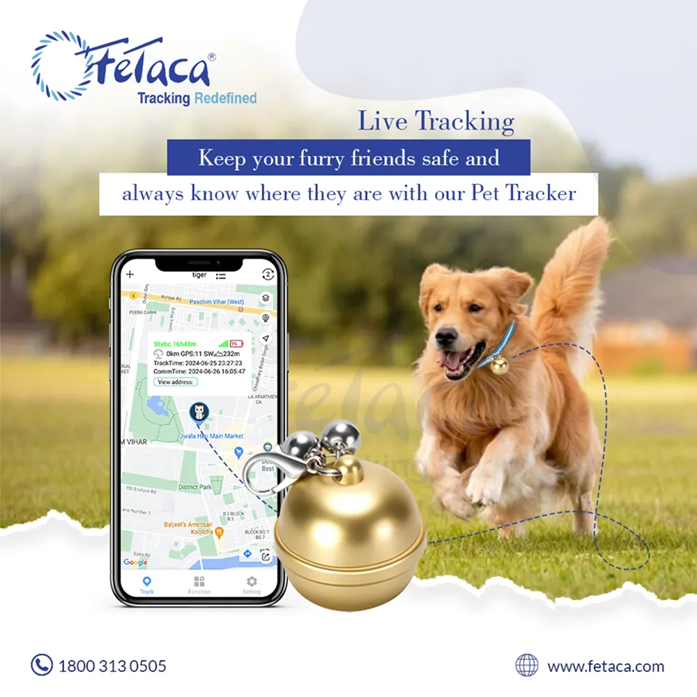 FeTaca Smart Gold Bell Shaped 2G Pet GPS Tracker with 1 Year Advanced Tracking & SIM Data Subscription for Dogs & Cats (Golden)