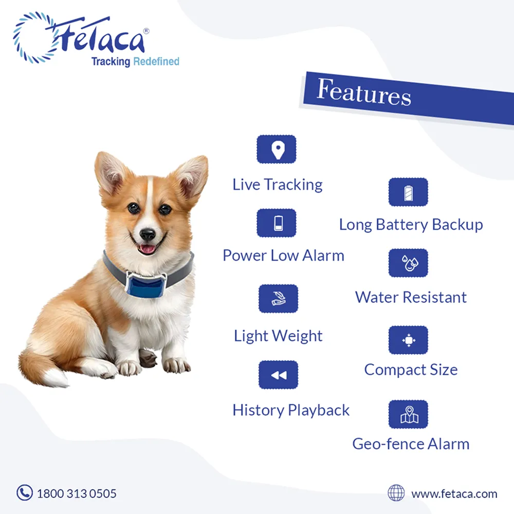 FeTaca Smart GPS Collars with 1 Year Advanced Tracking & SIM Data Subscription for Dogs & Cats (Blue)