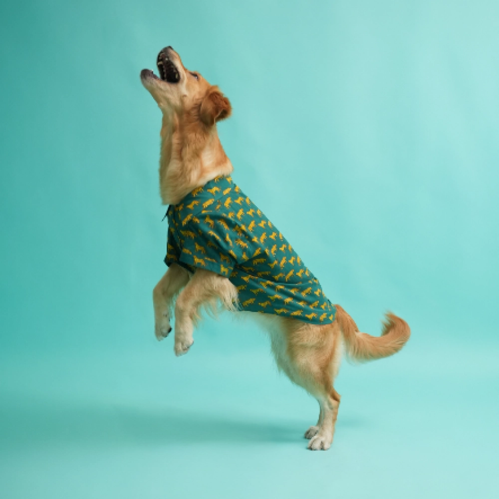 Floof & Co Leapord Print Cotton Shirt for Dogs (Dark Green)