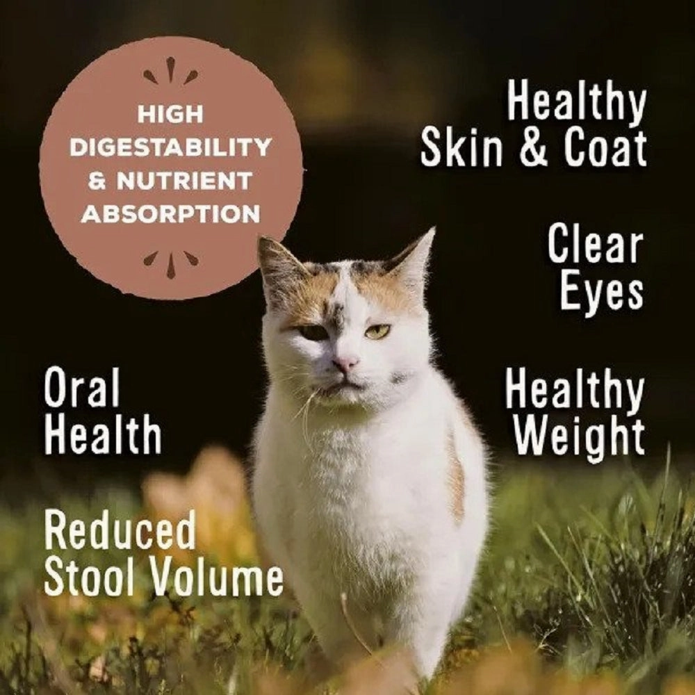 Freeze Dried Beef & Salmon Nuggets Cat Food