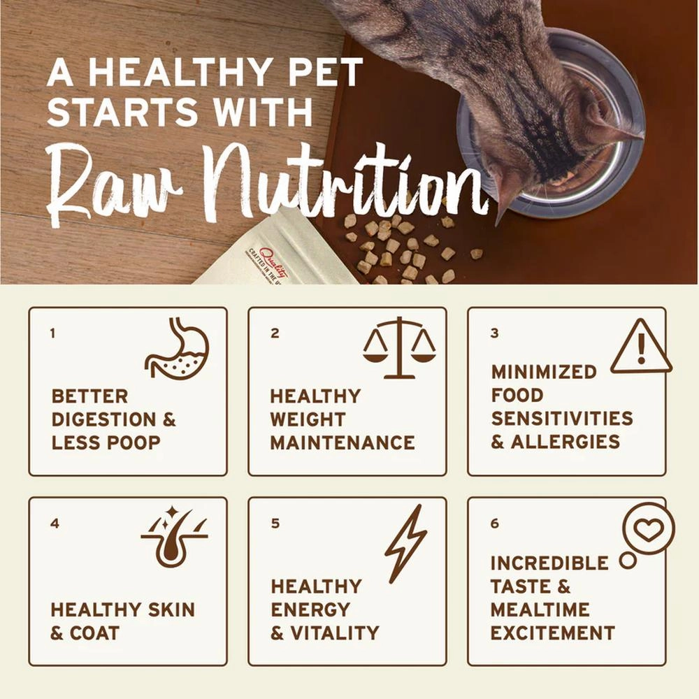 Freeze Dried Chicken & Salmon Nuggets Cat Food
