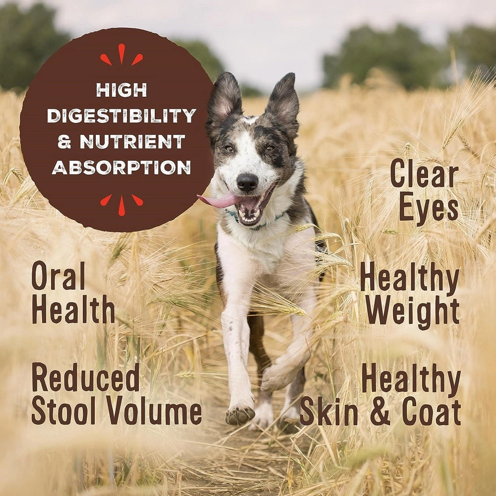 Freeze Dried Lamb Pronto Dog Food