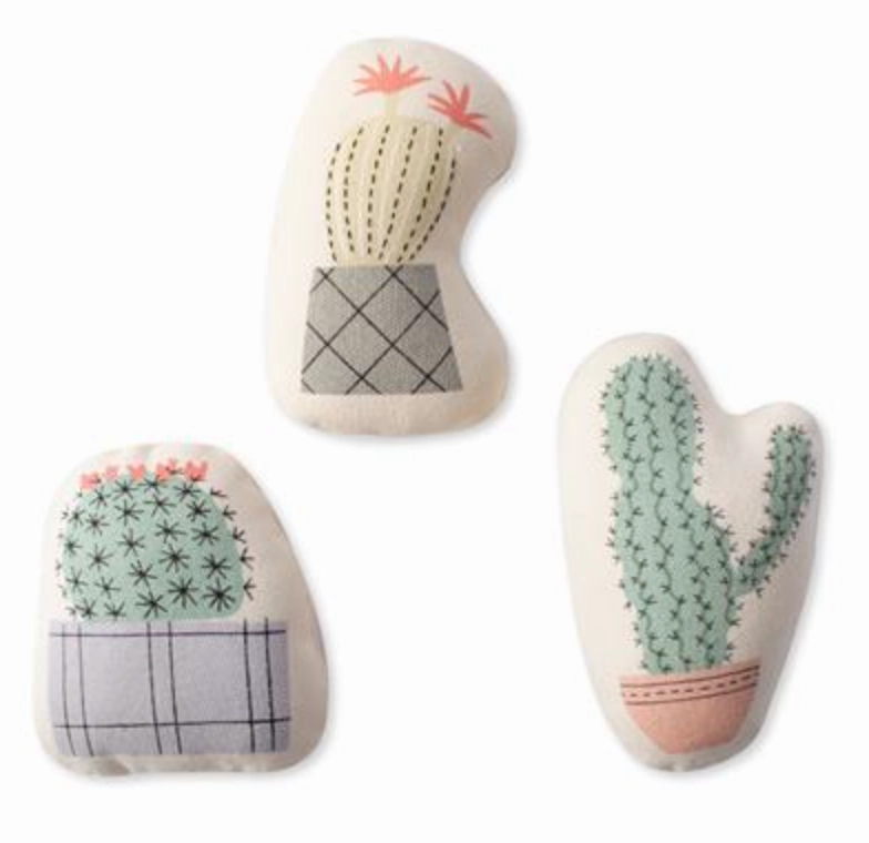 Fringe Potted Cactus Canvas Mini 3 Pack