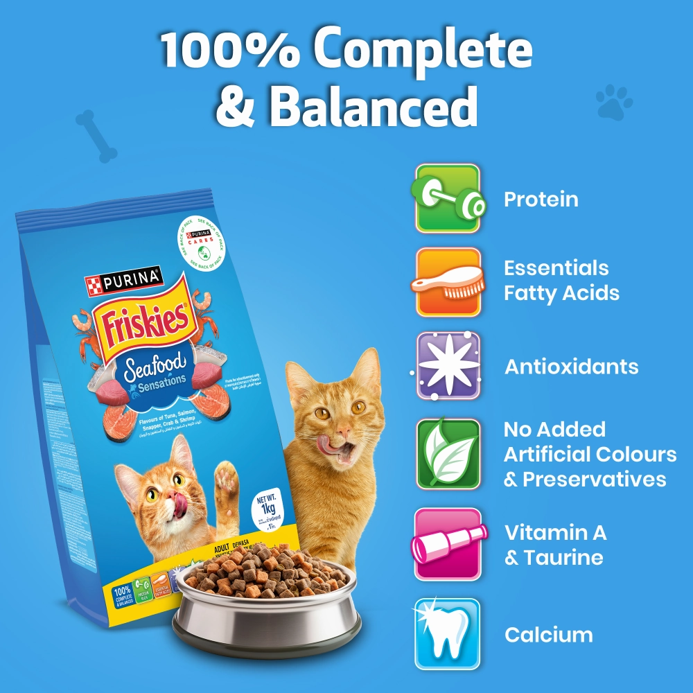 Friskies Seafood Cat Dry Food and Purina Felix Salmon with Jelly Adult Cat Wet Food Combo