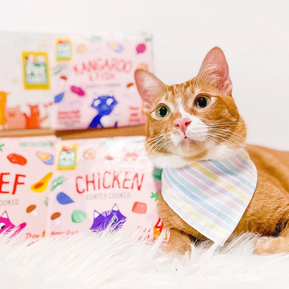 Frozen Fresh Human-Grade Gently Cooked Chicken Adult Cat Food