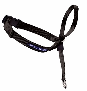 Gentle Leader Headcollar