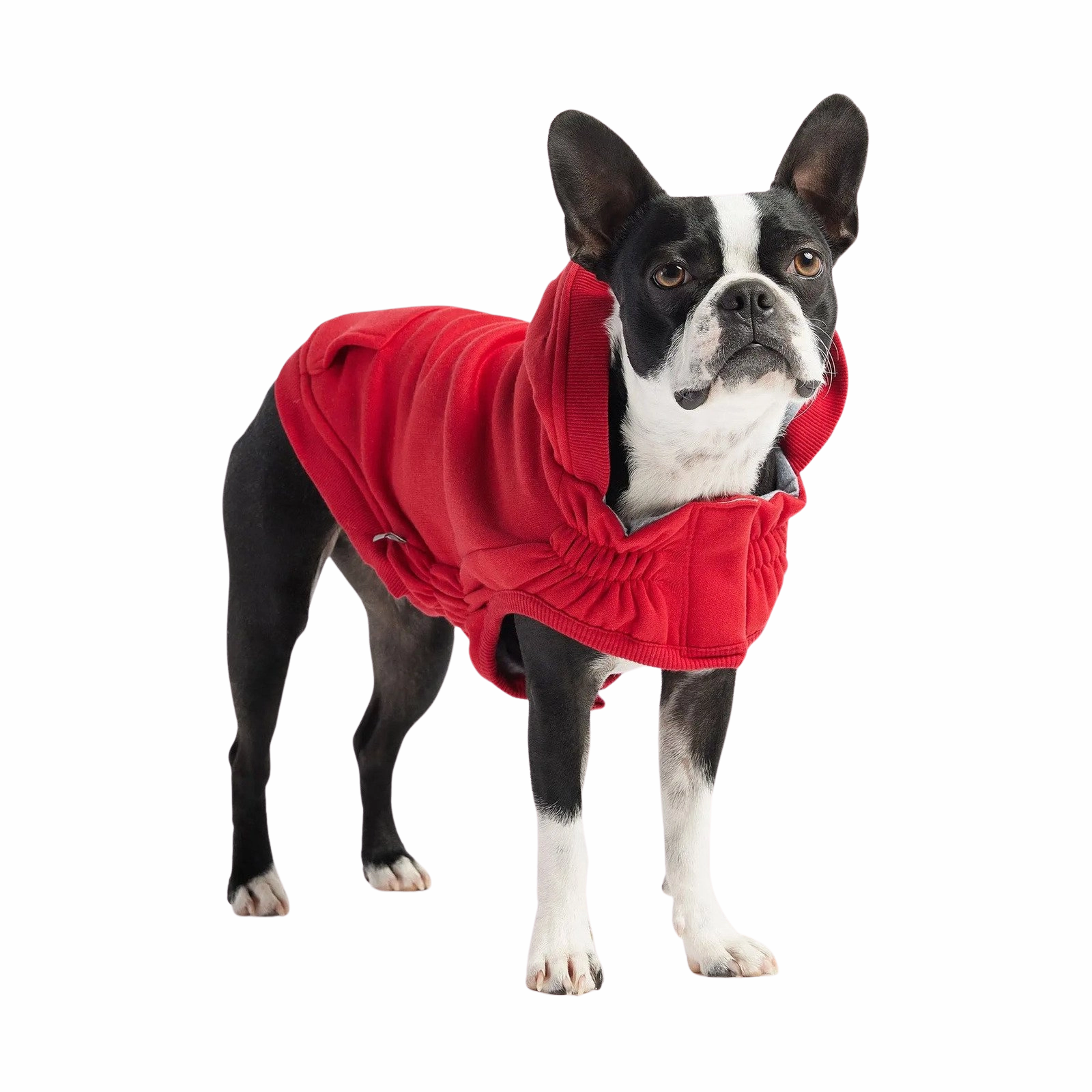 GF Pet Urban Hoodies
