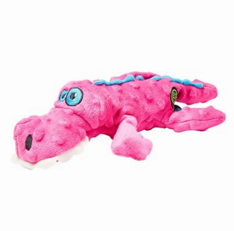 Go Dog Gator