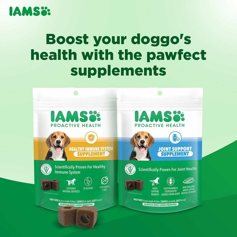IAMS Proactive Health Dog Supplement For Joint Support