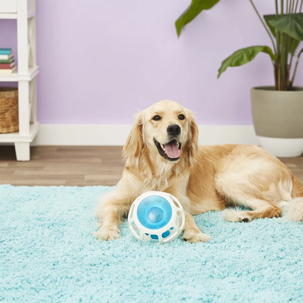 JW Rockin Treat Ball Toy for Dogs (White/Blue)