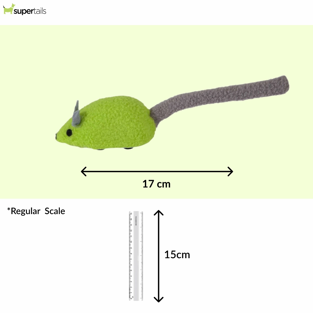 JW Zippy Mouse Toy for Cats (Green)