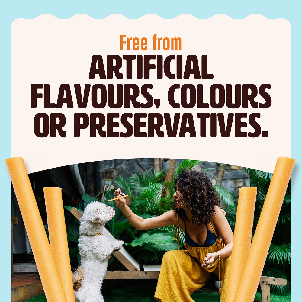 Kennel Kitchen Fish Sticks with Turmeric Dog Treats