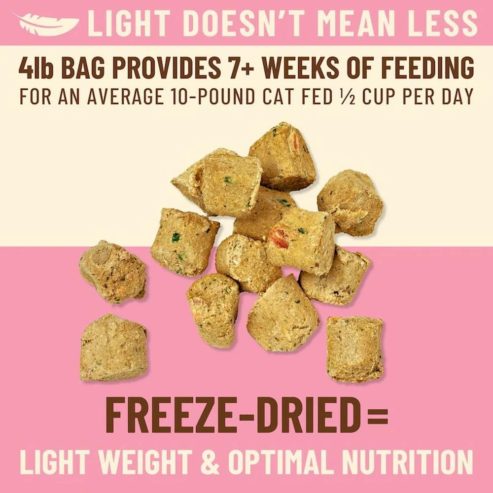 Kibble In The Raw - Freeze Dried Beef Cat Food