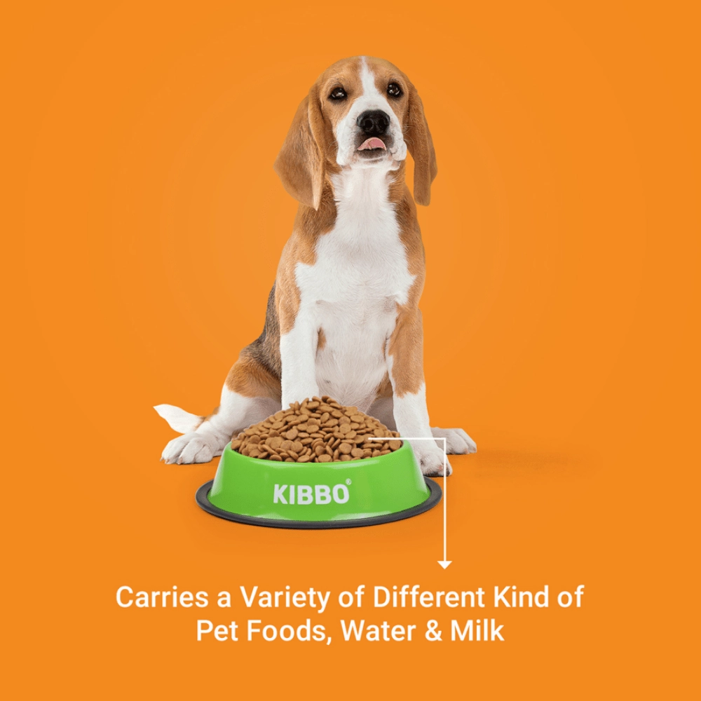 Kibbo Anti Skid Stainless Steel Bowl for Dogs and Cats (Green)