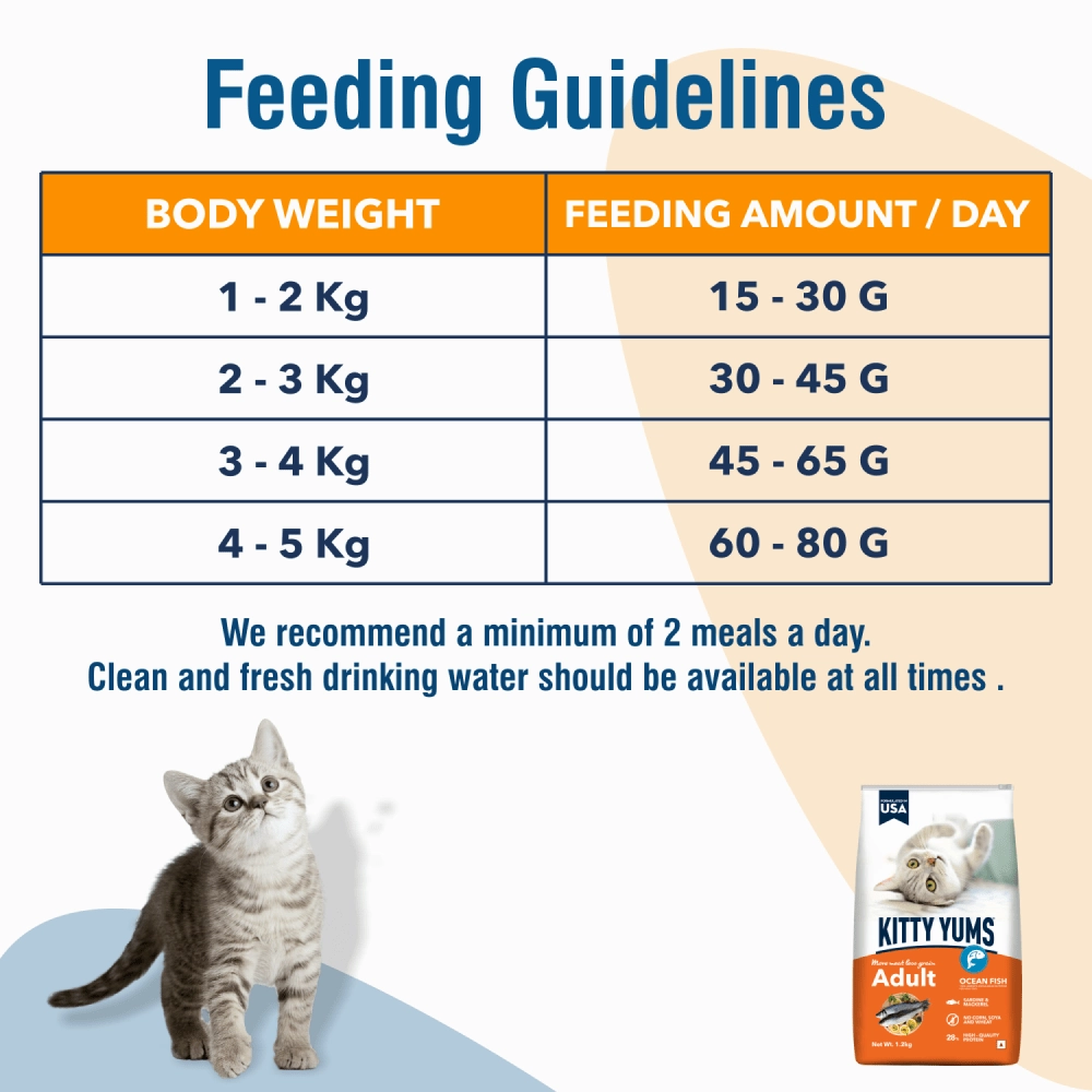 Kitty Yums Ocean Fish Adult (1  years) Cat Dry Food