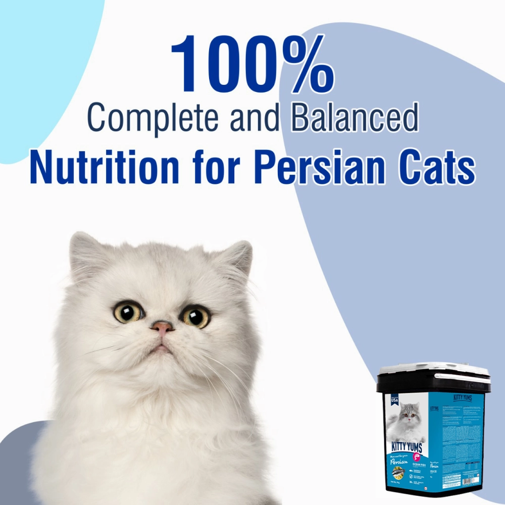 Kitty Yums Ocean Fish Persian Dry Food, Sheba Tuna Prawn Maguro Melty Premium Cats Treats Combo