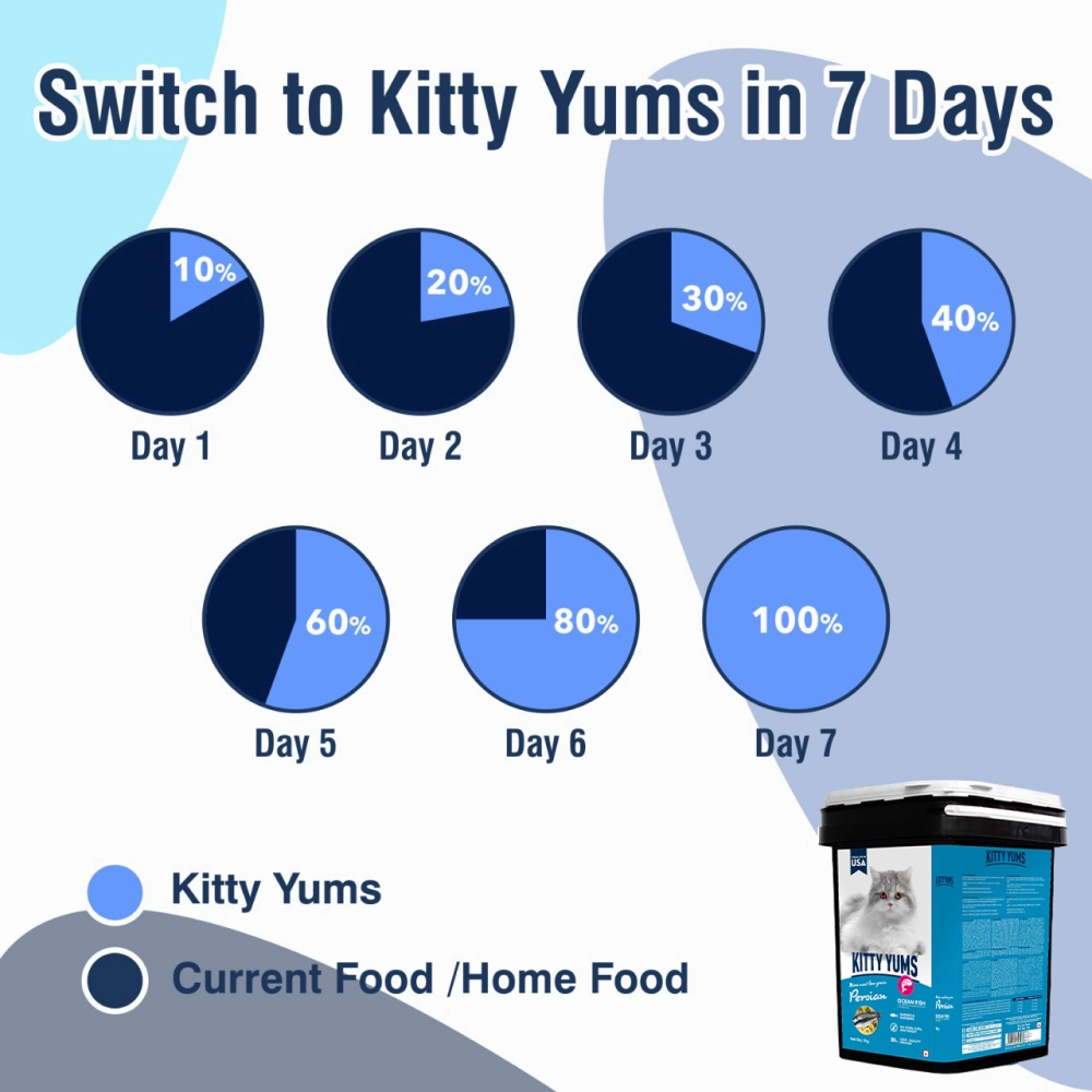 Kitty Yums Ocean Fish Persian Dry Food, Sheba Tuna Prawn Maguro Melty Premium Cats Treats Combo