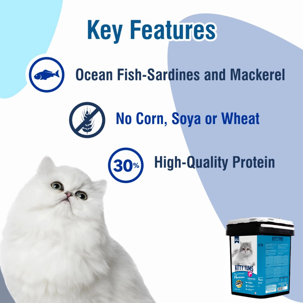Kitty Yums Ocean Fish Persian Dry Food, Sheba Tuna Prawn Maguro Melty Premium Cats Treats Combo