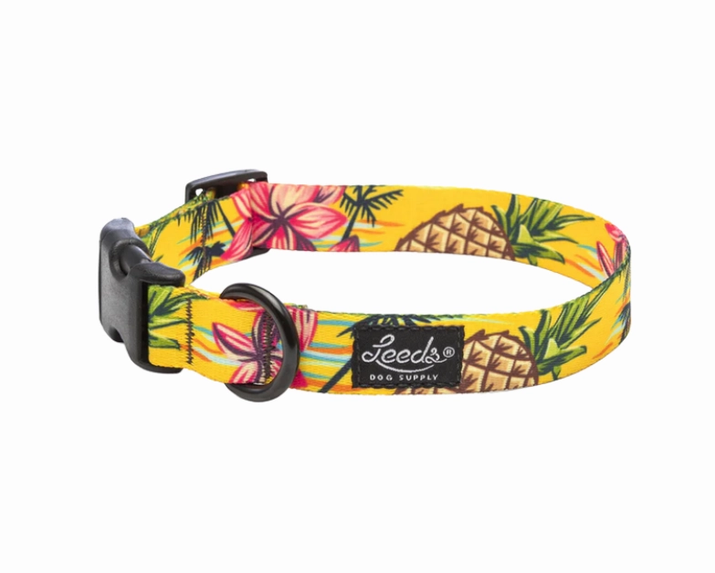 Leeds Dog Supply Collar