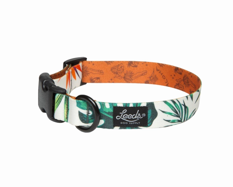 Leeds Dog Supply Collar