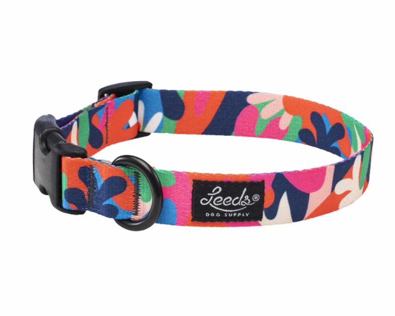 Leeds Dog Supply Collar