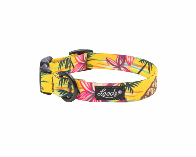 Leeds Dog Supply Collar