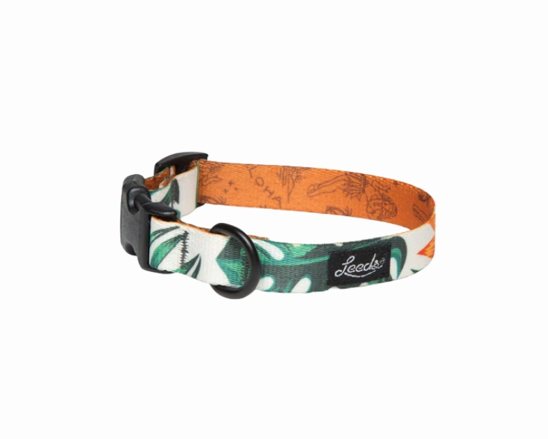 Leeds Dog Supply Collar