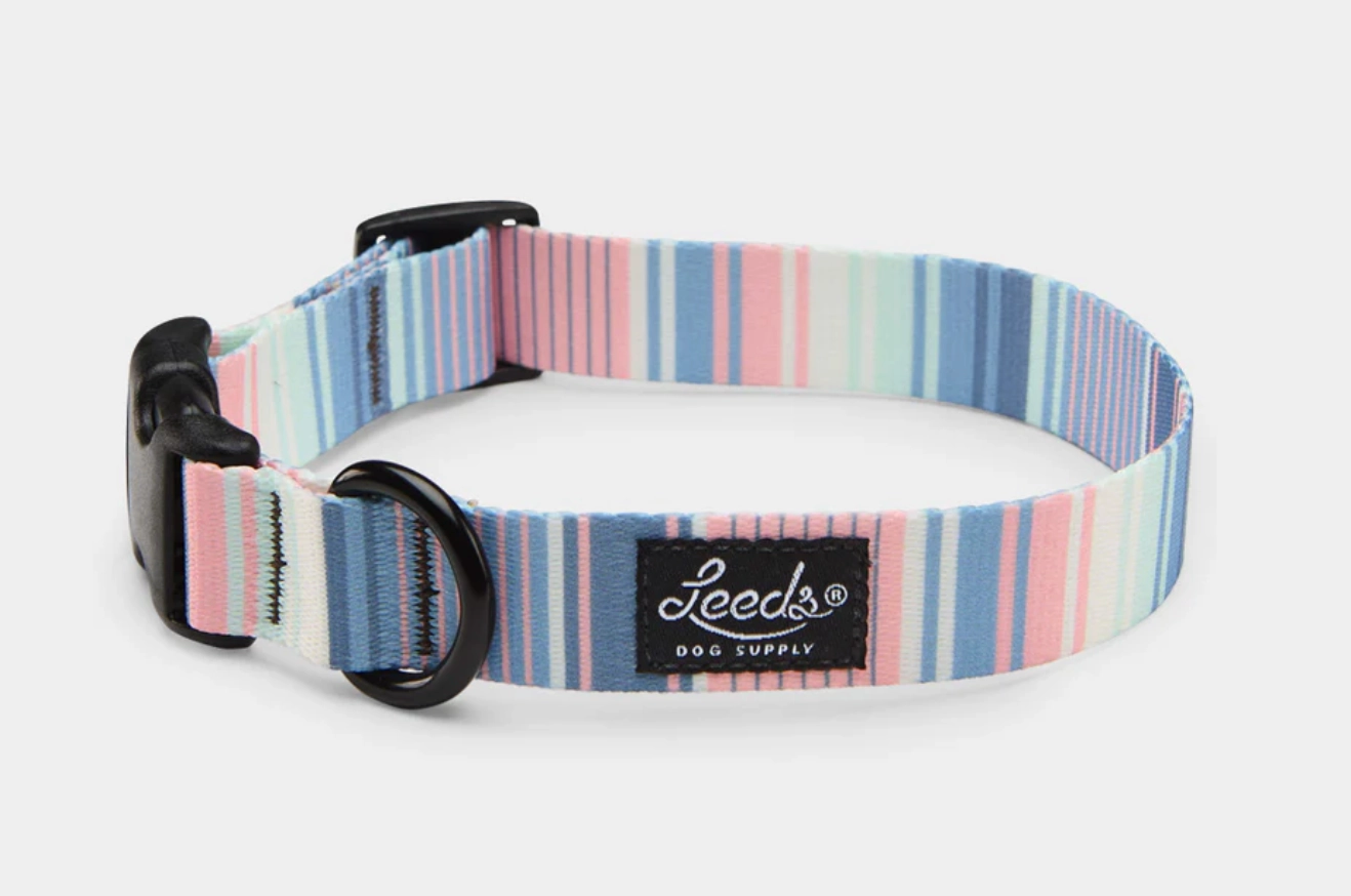 Leeds Dog Supply Collar
