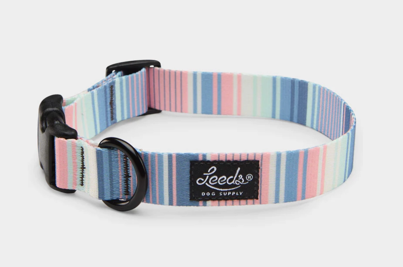 Leeds Dog Supply Collar