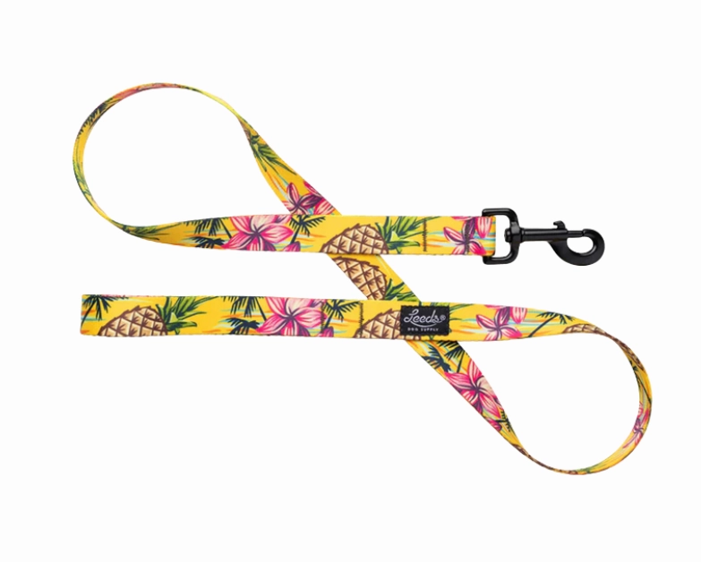 Leeds Dog Supply Leash
