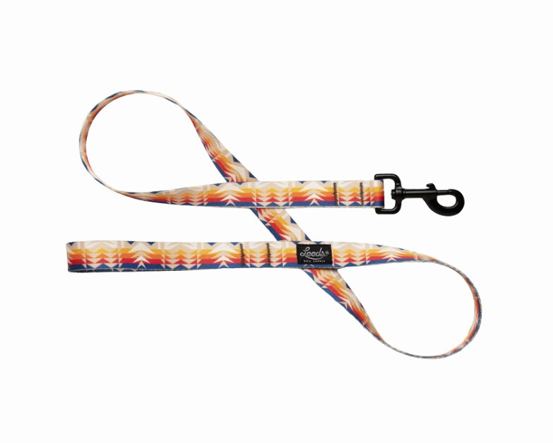 Leeds Dog Supply Leash
