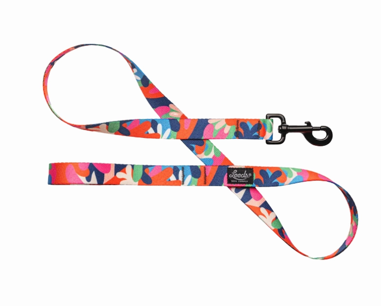 Leeds Dog Supply Leash