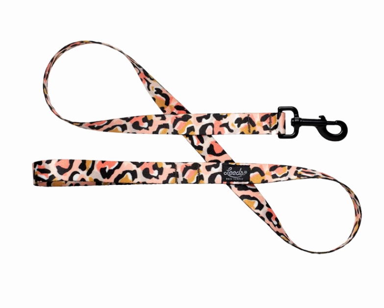 Leeds Dog Supply Leash