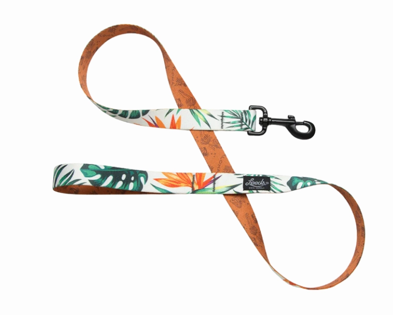 Leeds Dog Supply Leash