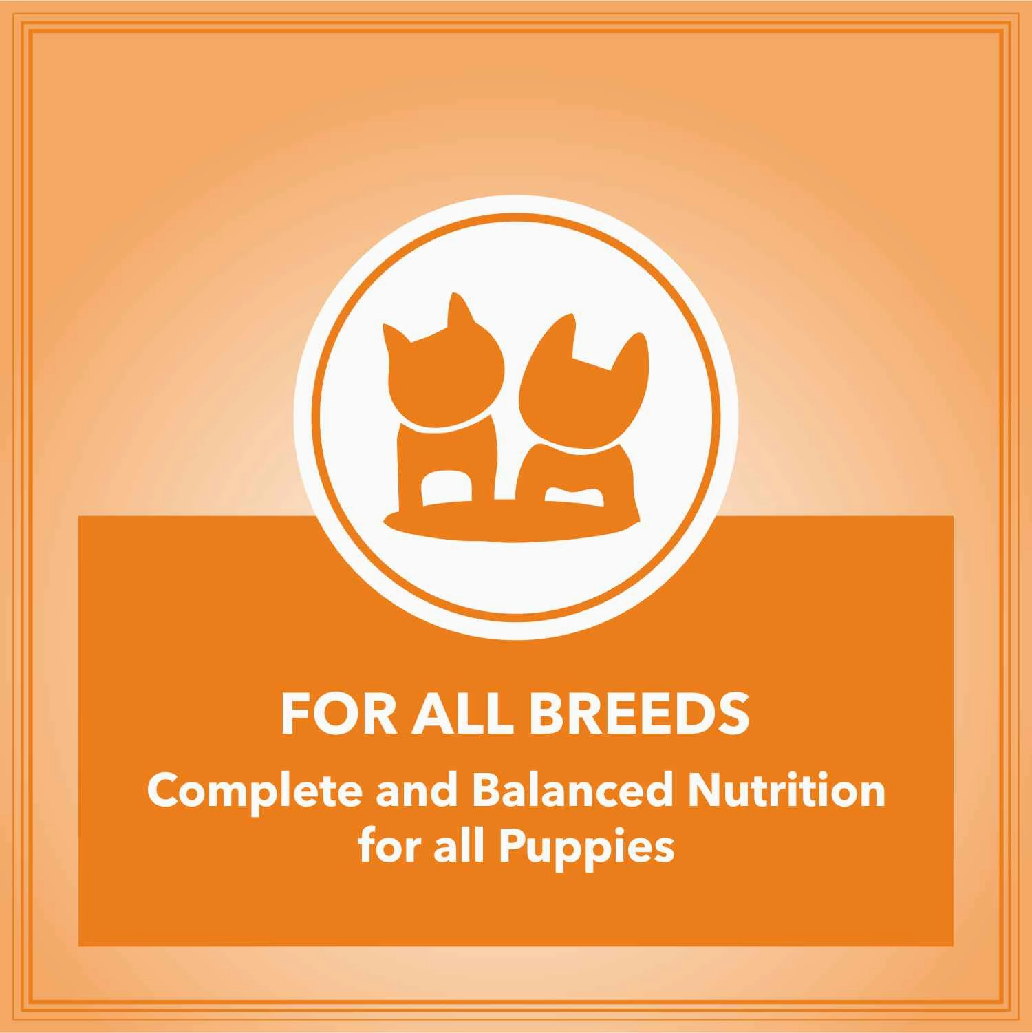 Let's Bite Active Puppy Chicken Dog Dry Food