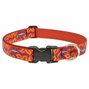 Lupine Original Collars