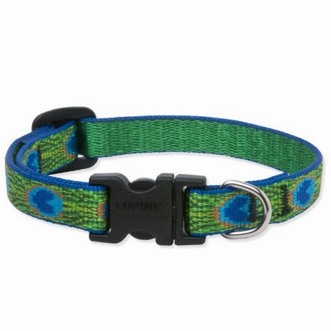 Lupine Original Collars
